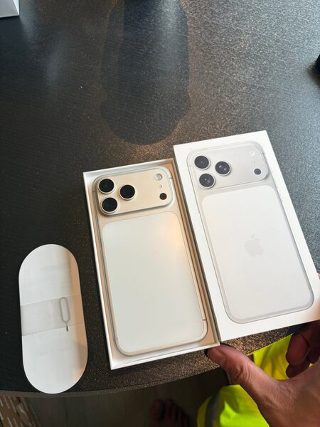iPhone 17 Pro Max 256 GB argintiu