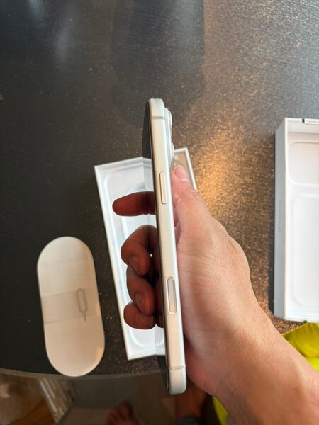 iPhone 17 Pro Max 256 GB argintiu